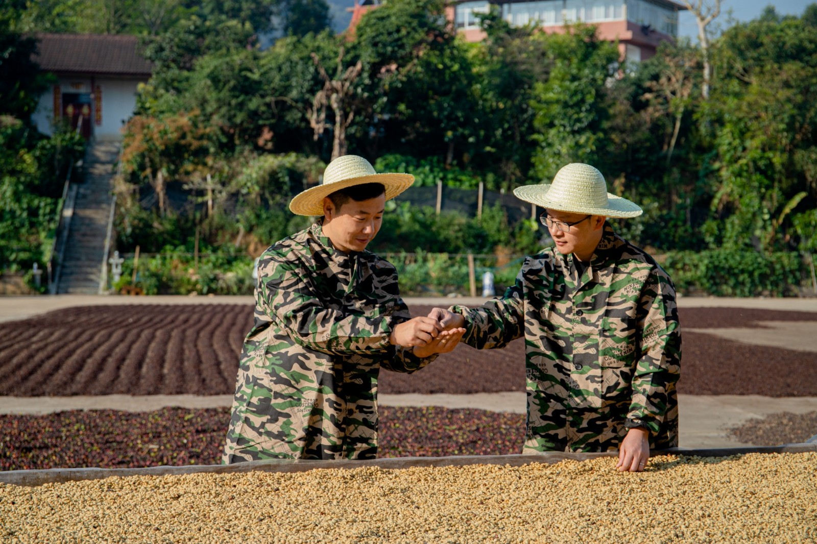 广州开咖啡馆 https://img2.danews.cc/upload/image/jpeg/20230913/46c97f75a9922727bad89443483fbbfb.jpg